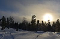 schneebedeckte Landschaft