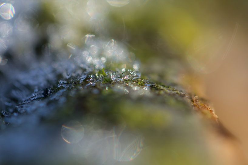 Ice crystals by Marianne Henstra