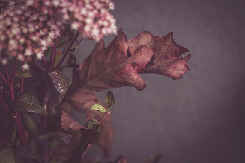 Herfst Stilleven by WvH