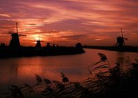 Zonsopkomst Kinderdijk