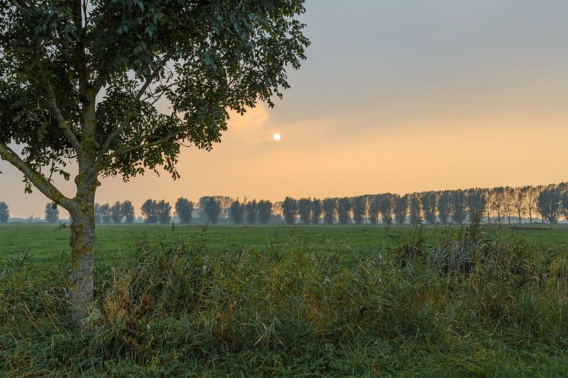 Beginn der Goldenen Stunde von Rolf Pötsch