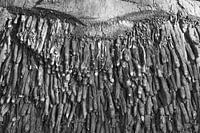 Abstract en zwart-wit