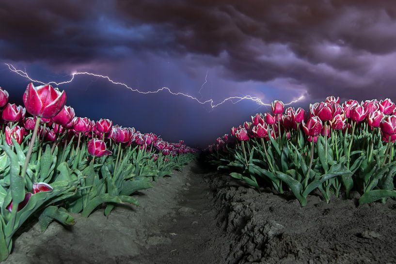 Niederländische Horrornächte von By Jaimie