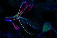 Leuchtende Kleeblatt