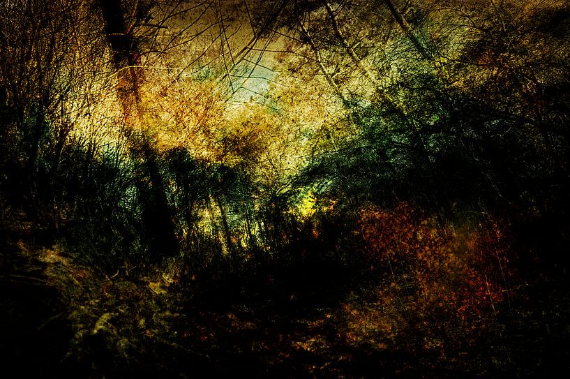 The Drunense Dunes at Loon op Zand #02 by Peter Baak