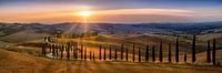 Tuscany landscape with fields, cypress path and hilly landscape at sunset