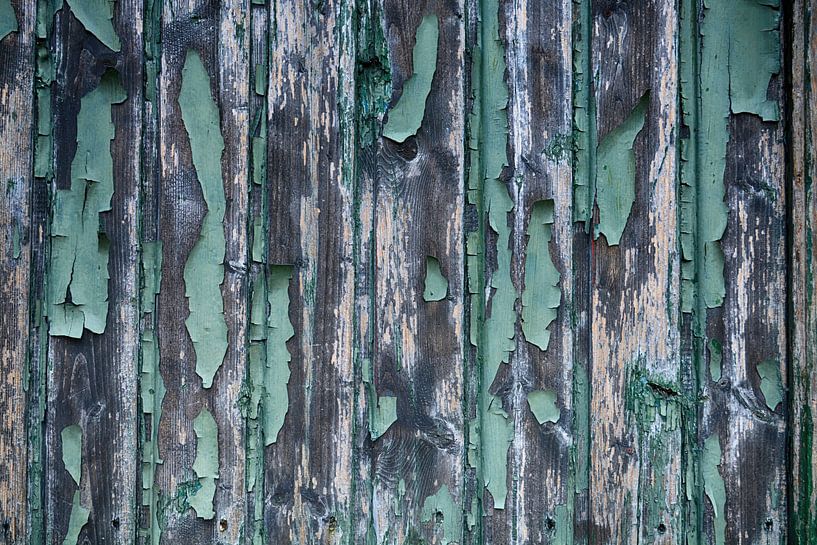 En feuilles par FotoGraaGHanneke