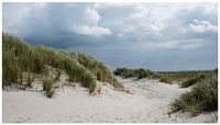 Dark clouds over the dunes
