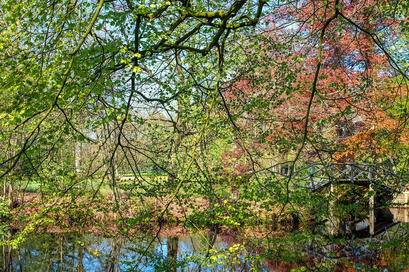 Bridge in the woods by Hanneke Luit