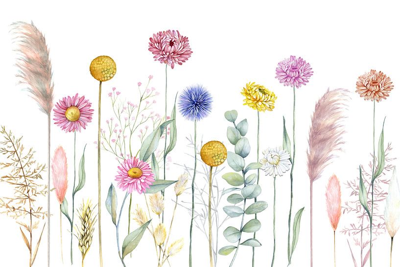 Dried flowers by Geertje Burgers