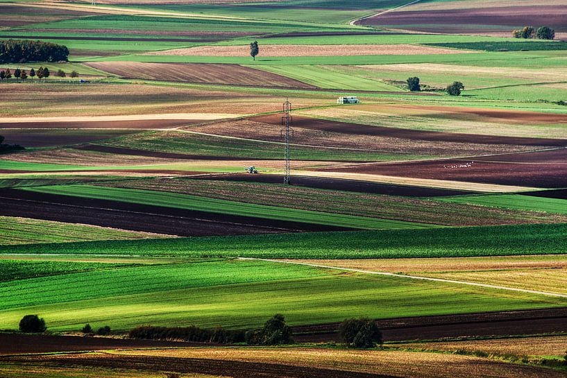 tessellation by Harrie Muis