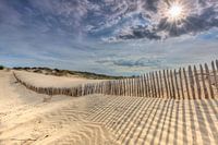De zon breekt door in duinen van Den Haag