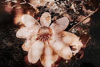 Die Fantasiewelt des Sonnenhuts Nr. 3