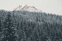 Verschneiter Berg im Nebel