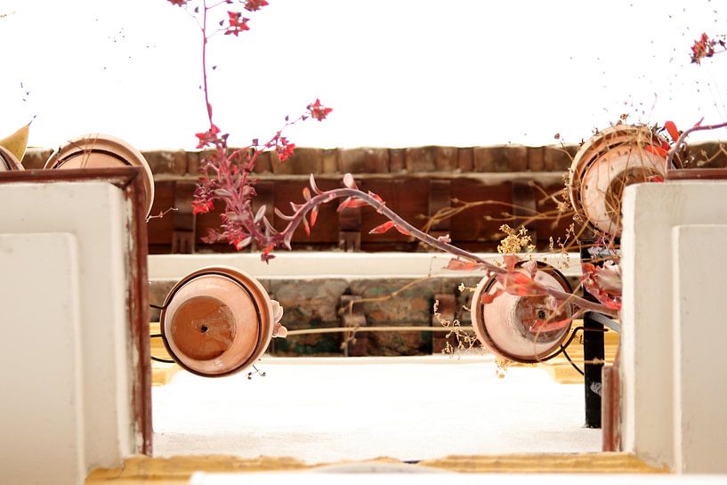 Les pots de fleurs par Cornelis (Cees) Cornelissen