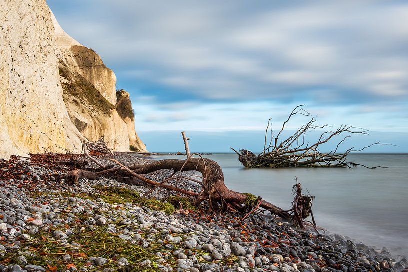 Ostseeküste auf der Insel Moen in Dänemark par Rico Ködder