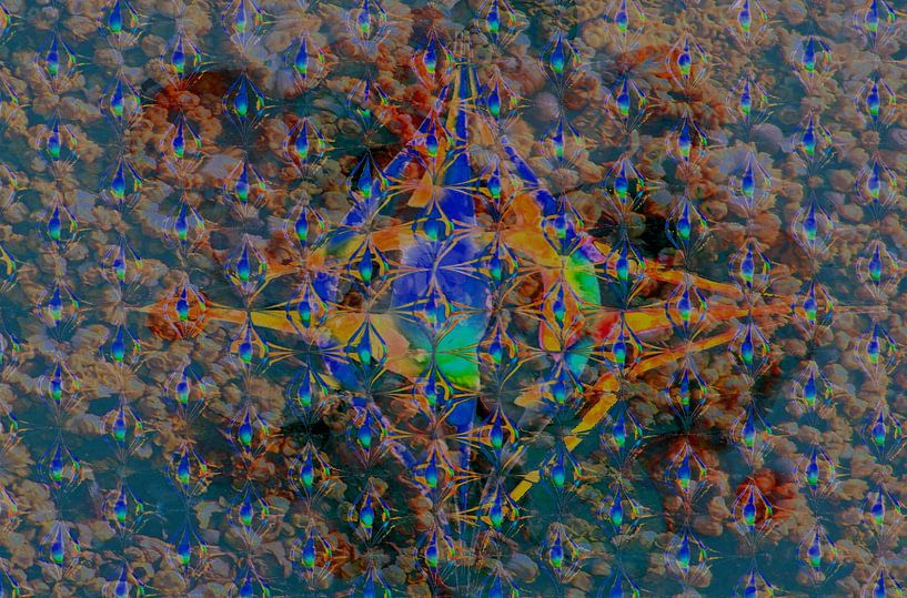 Nordsternhimmel von Peter Norden