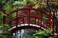 Rote Brücke im japanischen Garten Clingendael