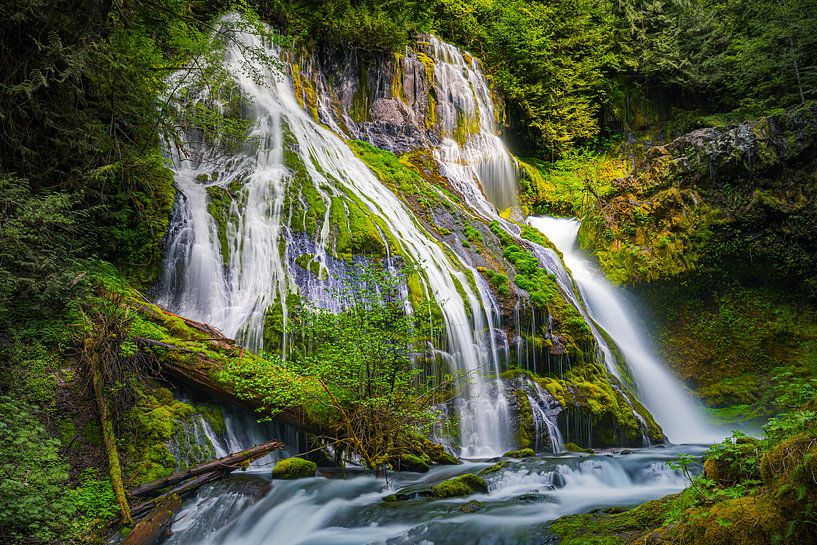 Panther Creek Falls von Henk Meijer Photography