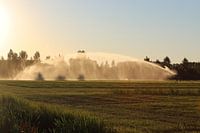 Wasserkanone in der brütenden Sommerabendhitze I