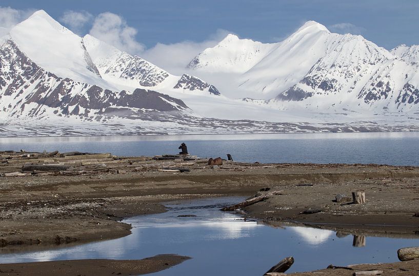Profitant de toute la solitude. par Tineke Koen