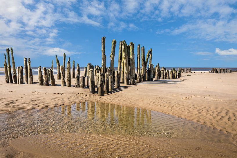 Alte Buhnen am Strand von Rantum, Sylt von Christian Müringer