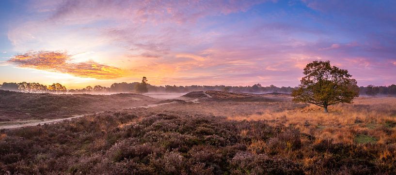 Morgen auf dem Moor von Frans Plat