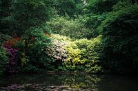 Bloemenpracht aan het water