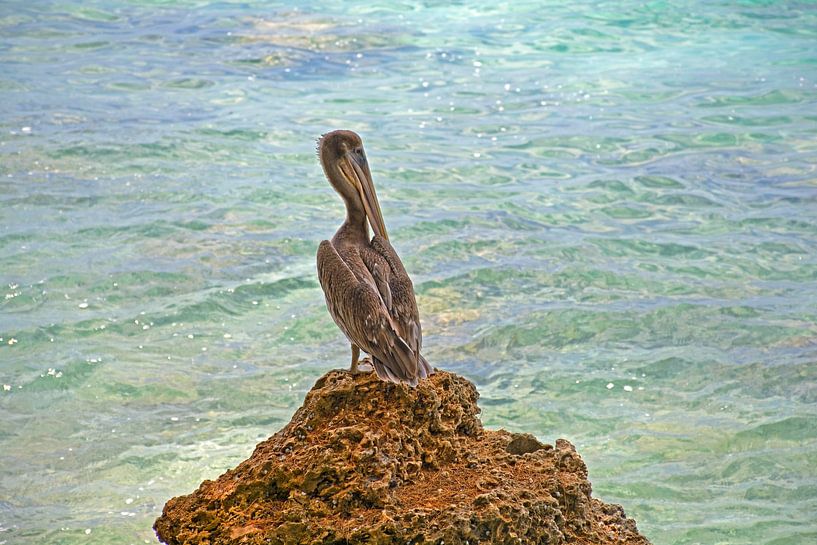 Vakantiegevoel par Ronald en Ancil Fotografie