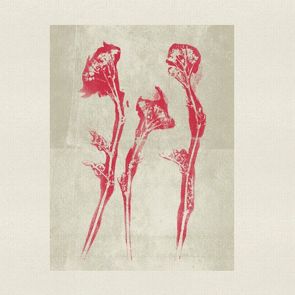 Modern neutraal botanisch in rood en grijs van Dina Dankers