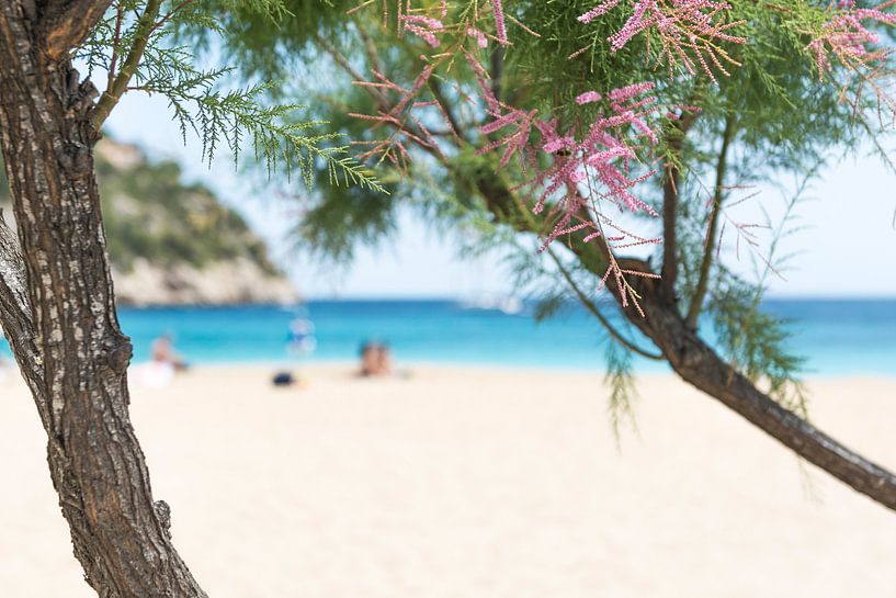 Day at the beach  by Davy Reitsma