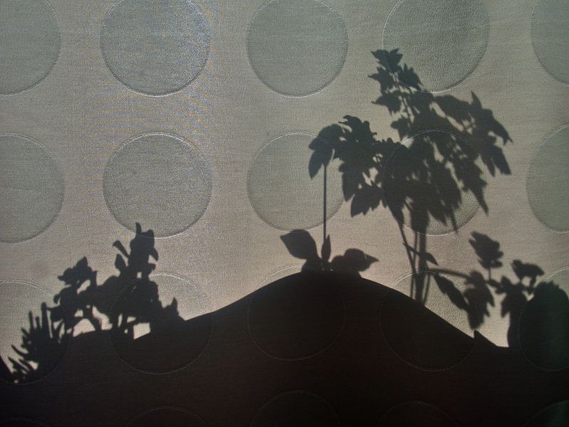 Curtain Shadows by Edgar Schermaul