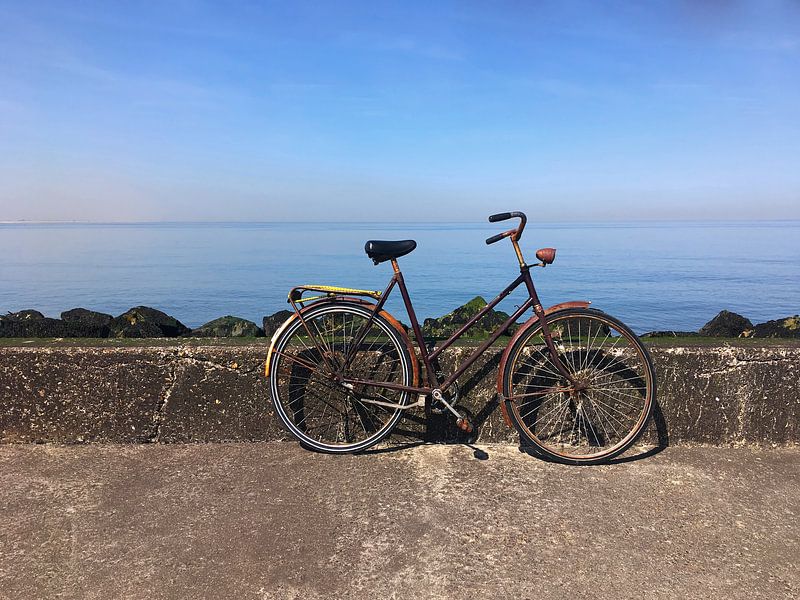 Fahrrad am Meer von Frank Herrmann