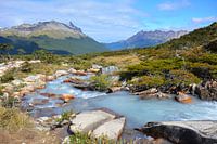 Un fleuve blanc laiteux dans la tourbière Argentine