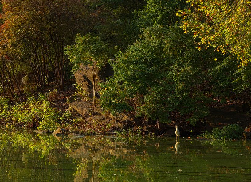 Central Park New York City - USA par Marcel Kerdijk