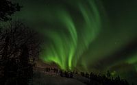 Northern Lights Lapland