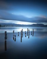Wooden pier remains. Lake Massaciuccoli.