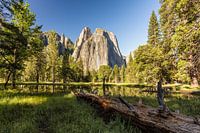 Cathédrale - Parc national de Yosemite