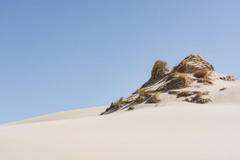 Stil duin van Claire van Dun