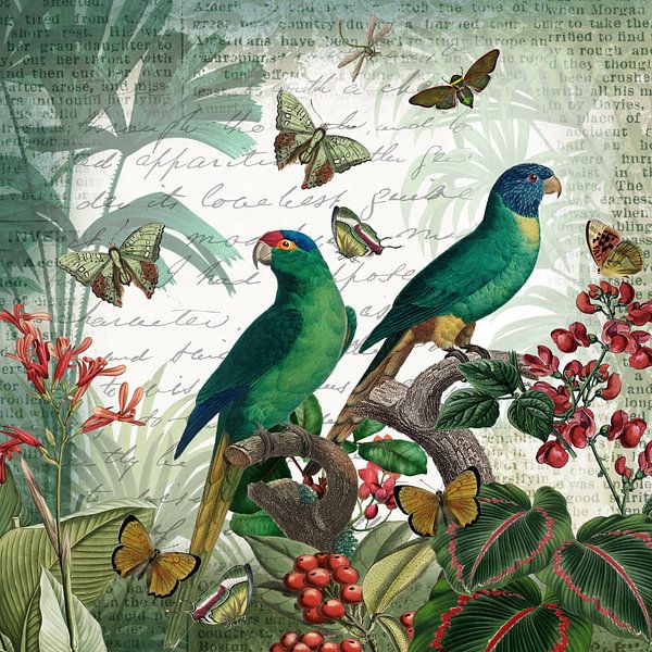 La danse des papillons par christine b-b müller