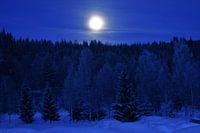 Mond in verschneiter Landschaft