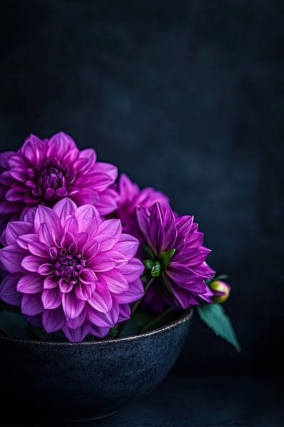 Dahlias mauves's par Vlindertuin-Art