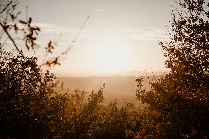 Sonnenuntergang im Ombrone-Tal von Isis Sturtewagen