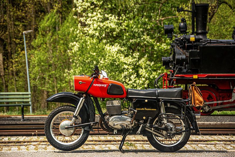 Trophée MZ ES 250/2 1971 par Johnny Flash