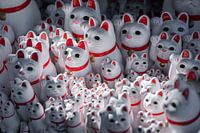 Glückliche Katzen - Maneki Neko in Tokio Japan