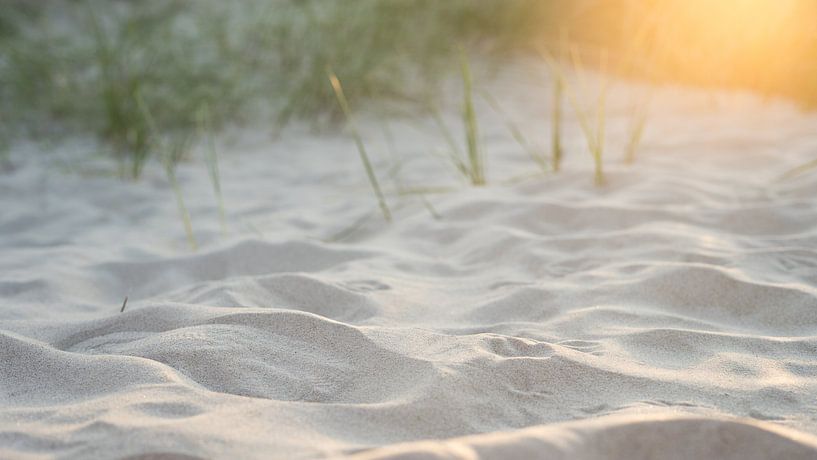 Duinen Vlieland von Tomas Grootveld