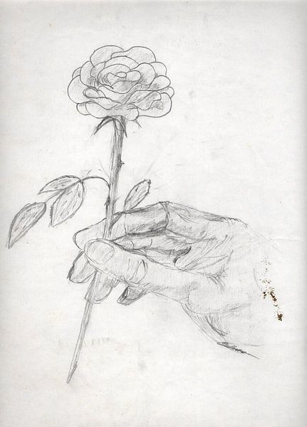 Rose in der Hand Bleistift von Andre Bolhoeve