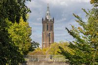 Die St.-Christophorus-Kathedrale in Roermond mitten im Grünen