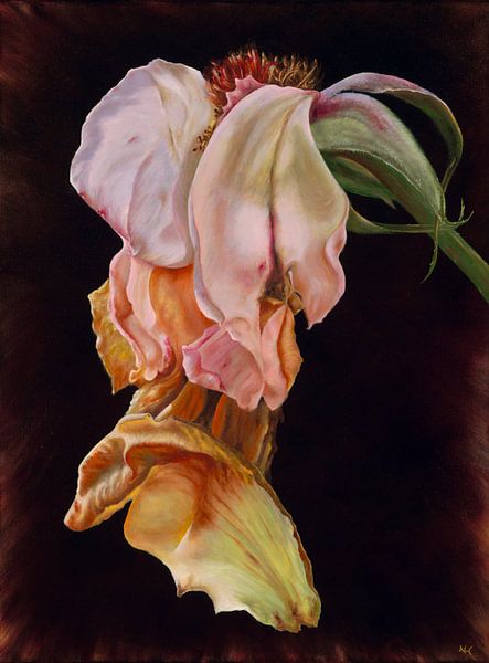 Goodbye Einglish Rose von Nanda Hoep