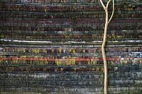 colors and patterns no.1